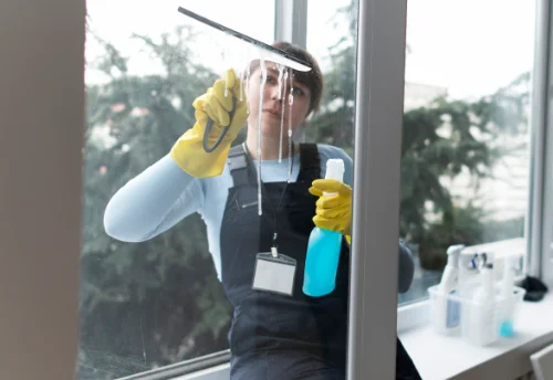 Nettoyage de vitres intérieures et extérieures à Leyme